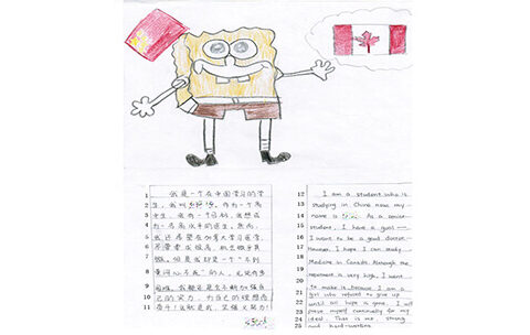 The changing landscape of literacy curriculum in a Sino-Canada transnational education programme: an actor-network theory informed case study